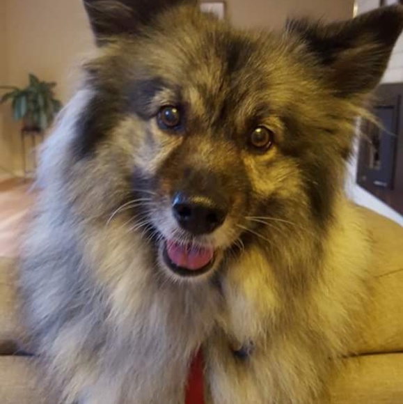 Meet your Posher, Nady - Picture 6 of 6